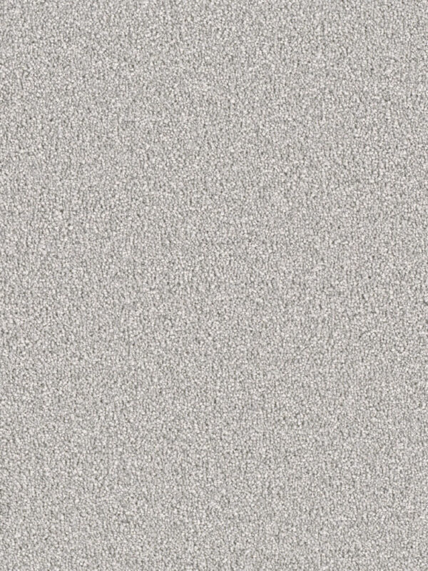 Dreamweaver Carpet East Hampton Dove Carpet 2550_800