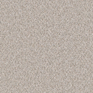 Dreamweaver Carpet East Hampton Iron Frost Carpet 2550_815