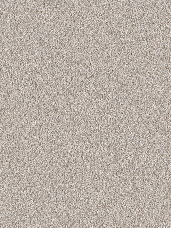 Dreamweaver Carpet East Hampton Iron Frost Carpet 2550_815