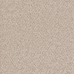 Dreamweaver Carpet East Hampton Linen Carpet 2550_824