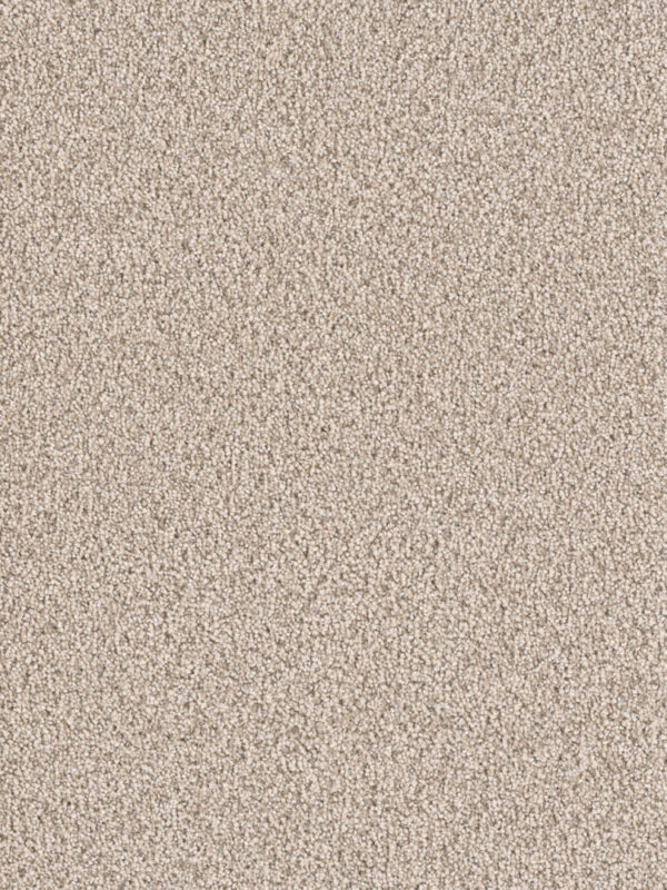 Dreamweaver Carpet East Hampton Linen Carpet 2550_824