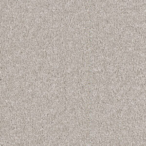 Dreamweaver Carpet East Hampton Silver Lining Carpet 2550_830