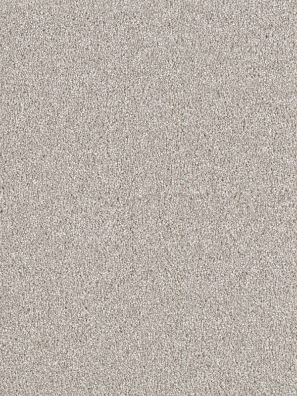 Dreamweaver Carpet East Hampton Silver Lining Carpet 2550_830