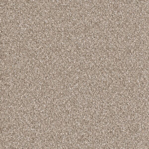 Dreamweaver Carpet East Hampton Acorn Carpet 2550_858