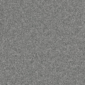 Dreamweaver Carpet East Hampton Pewter Carpet 2550_890