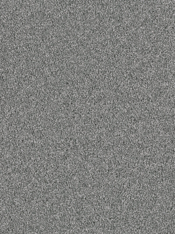 Dreamweaver Carpet East Hampton Pewter Carpet 2550_890