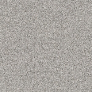 Dreamweaver Carpet East Hampton Chrome Carpet 2550_927