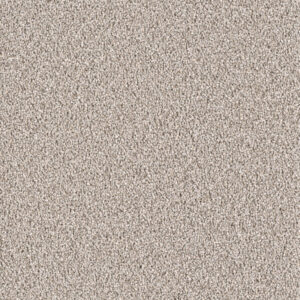 Dreamweaver Carpet East Hampton Ash Carpet 2550_945