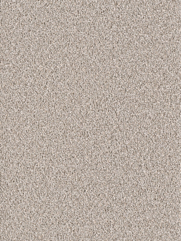 Dreamweaver Carpet East Hampton Ash Carpet 2550_945