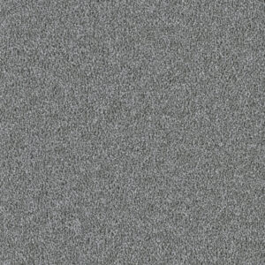 Dreamweaver Carpet East Hampton Armor Carpet 2550_968