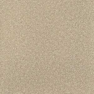 Dreamweaver Carpet Montauk Cashew Carpet 2560_530