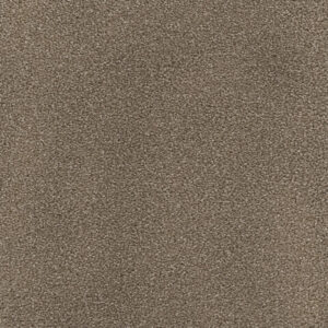 Dreamweaver Carpet Montauk Cocoa Carpet 2560_550