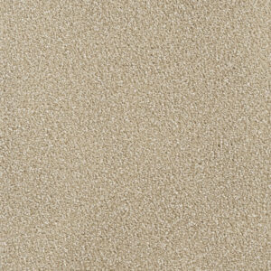 Dreamweaver Carpet Montauk Sawgrass Carpet 2560_701
