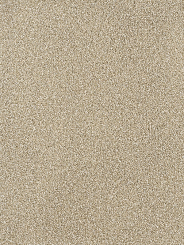 Dreamweaver Carpet Montauk Sawgrass Carpet 2560_701