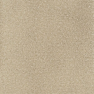 Dreamweaver Carpet Montauk Sand Carpet 2560_710
