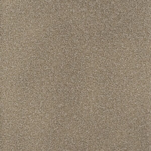 Dreamweaver Carpet Montauk Mushroom Carpet 2560_715