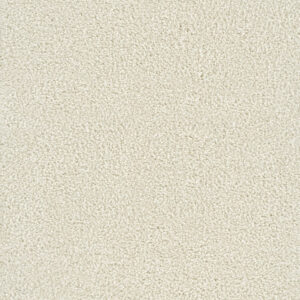 Dreamweaver Carpet Montauk Pearlesque Carpet 2560_716