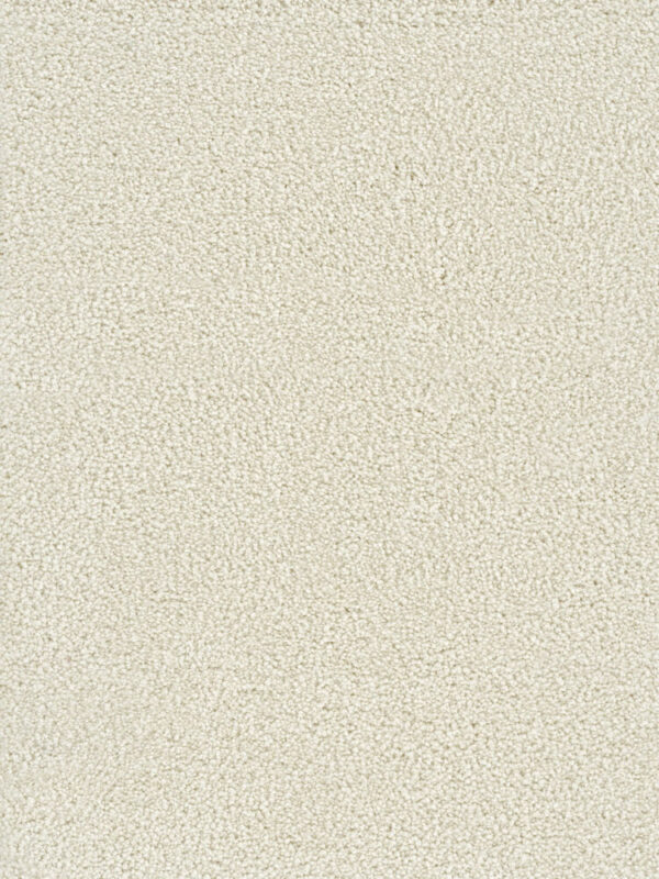 Dreamweaver Carpet Montauk Pearlesque Carpet 2560_716