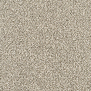 Dreamweaver Carpet Montauk Oxford Carpet 2560_720