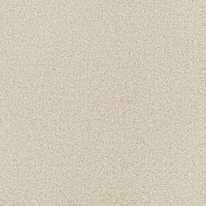 Dreamweaver Carpet Montauk Ivory Carpet 2560_730