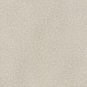 Dreamweaver Carpet Montauk Parchment Carpet 2560_744