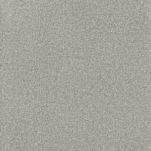 Dreamweaver Carpet Montauk Dove Carpet 2560_800