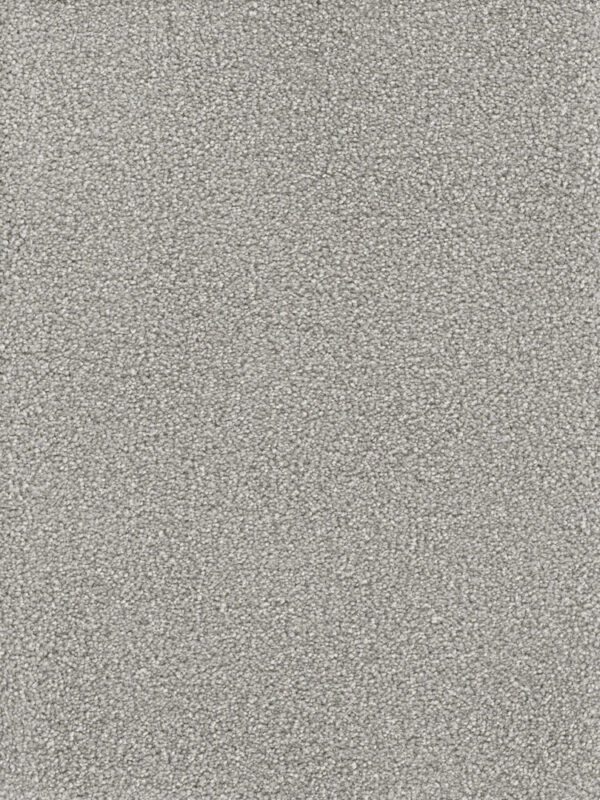 Dreamweaver Carpet Montauk Dove Carpet 2560_800