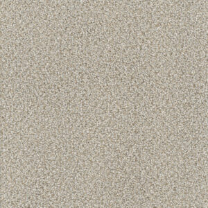 Dreamweaver Carpet Montauk Iron Frost Carpet 2560_815