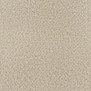 Dreamweaver Carpet Montauk Linen Carpet 2560_824