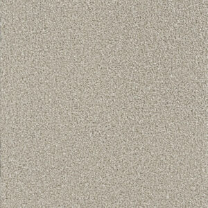Dreamweaver Carpet Montauk Silver Lining Carpet 2560_830