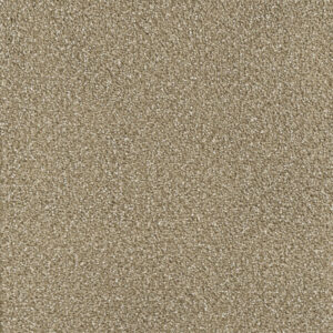 Dreamweaver Carpet Montauk Acorn Carpet 2560_858