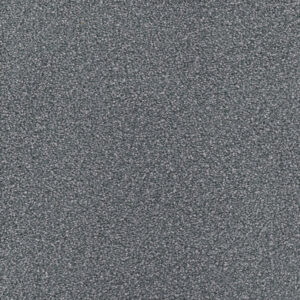 Dreamweaver Carpet Montauk Pewter Carpet 2560_890