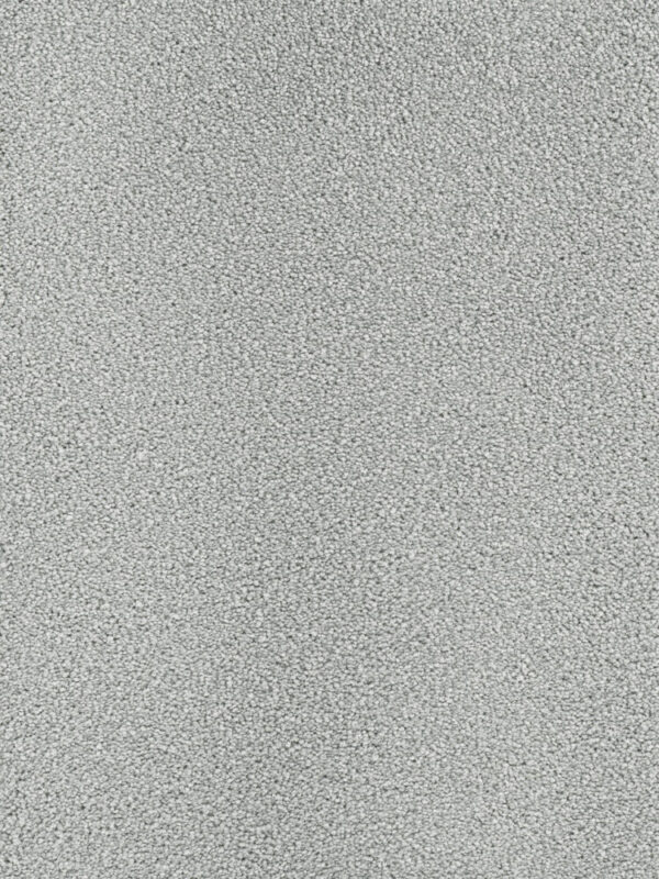 Dreamweaver Carpet Montauk Icicle Carpet 2560_910
