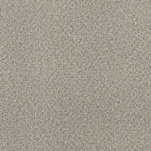 Dreamweaver Carpet Montauk Ash Carpet 2560_945