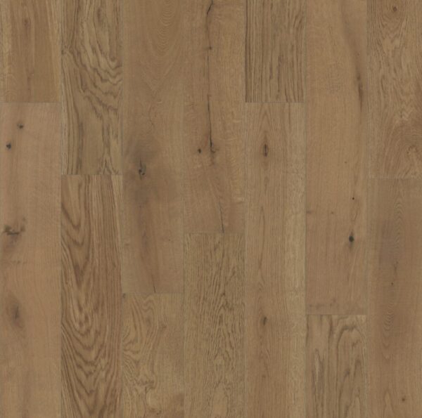 Create Majestic View Engineered Hardwood Aspens