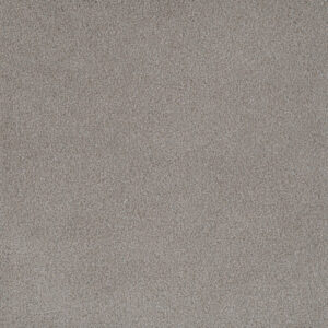 Dreamweaver Carpet Palmetto II Cherry Blossom Carpet 2740_2056