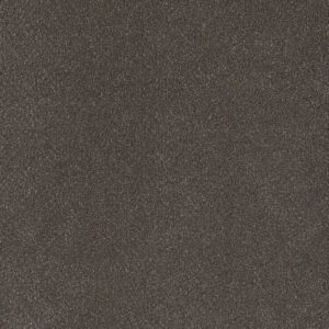 Dreamweaver Carpet Palmetto II Bear Paw Carpet 2740_2064