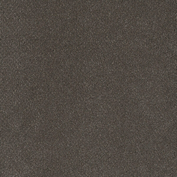 Dreamweaver Carpet Palmetto III Bear Paw Carpet 2750_2064