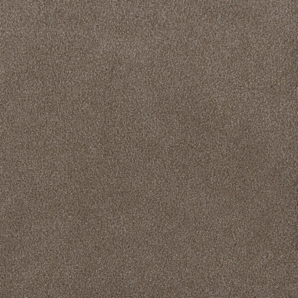 Dreamweaver Carpet Palmetto I Eagle Crest Carpet 2732_2114