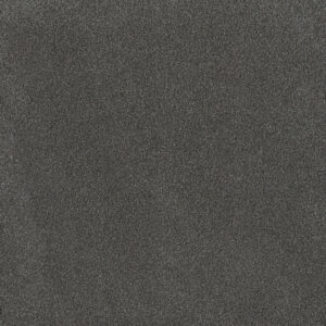 Dreamweaver Carpet Palmetto II Flint Carpet 2740_2138