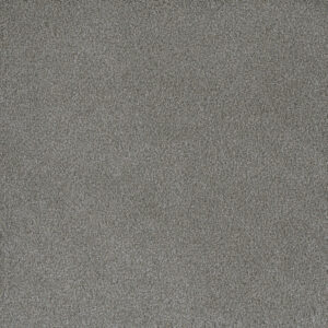 Dreamweaver Carpet Palmetto II Waterlily Carpet 2740_2153