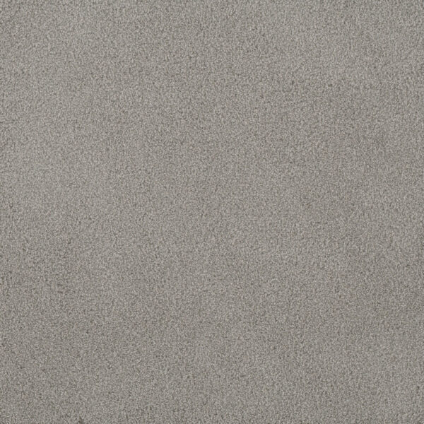 Dreamweaver Carpet Palmetto I Cascadia Carpet 2732_2224
