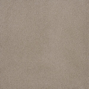 Dreamweaver Carpet Palmetto II Sun Washed Carpet 2740_2235