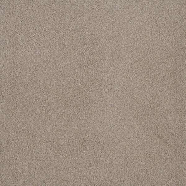 Dreamweaver Carpet Palmetto III Sun Washed Carpet 2750_2235