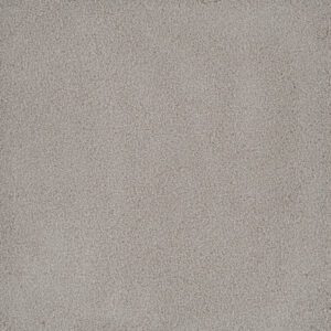Dreamweaver Carpet Palmetto II Royalty Carpet 2740_2240