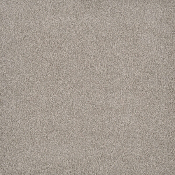 Dreamweaver Carpet Palmetto I Gardenia Carpet 2732_2266