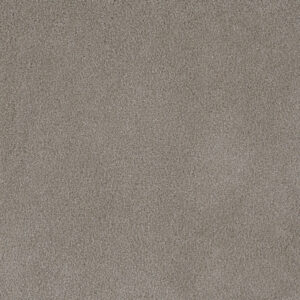 Dreamweaver Carpet Palmetto II Havana Carpet 2740_2275