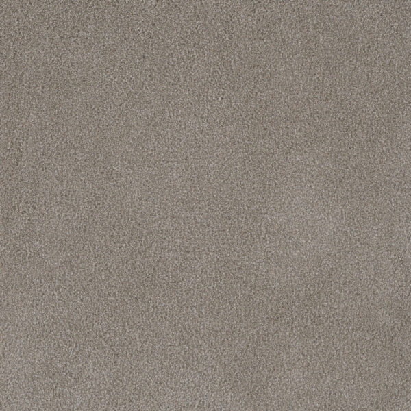 Dreamweaver Carpet Palmetto II Havana Carpet 2740_2275