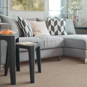 Karastan Tranquil Shades Kashmere Carpet