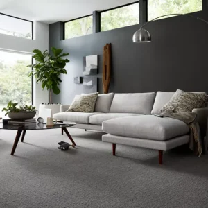 Karastan Delicate Path Smartstrand Silk Carpet